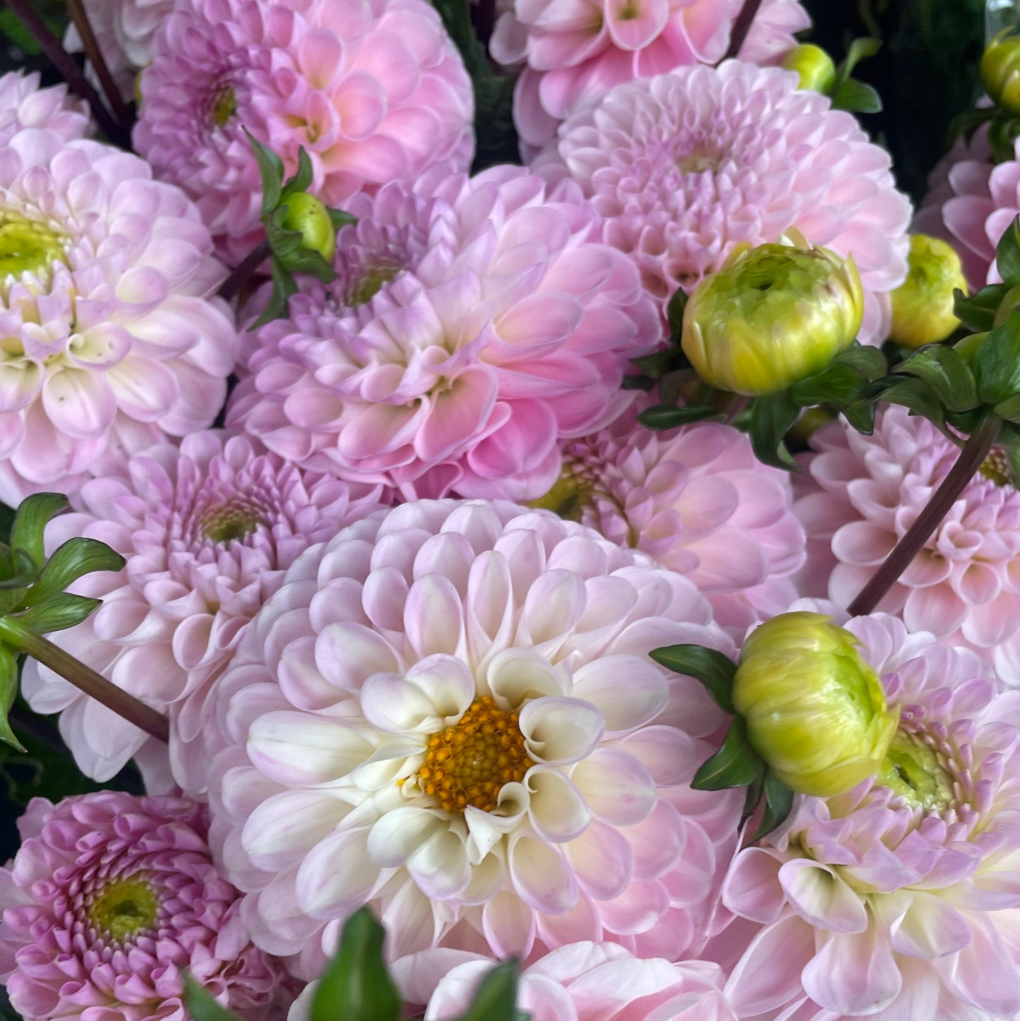 Funeral Flowers