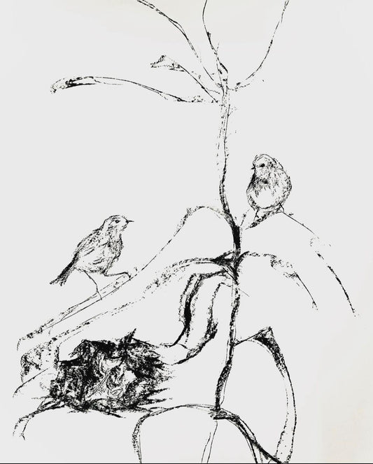 © Eloise Tery, 2024 - "Robins", charcoal on paper 2022.