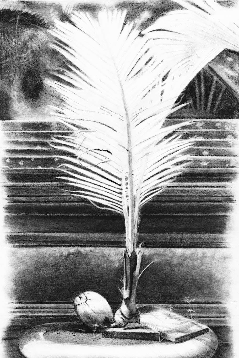 ©Lyle Perkins, 2024 -  "Water Temple Study" Charcoal on Paper