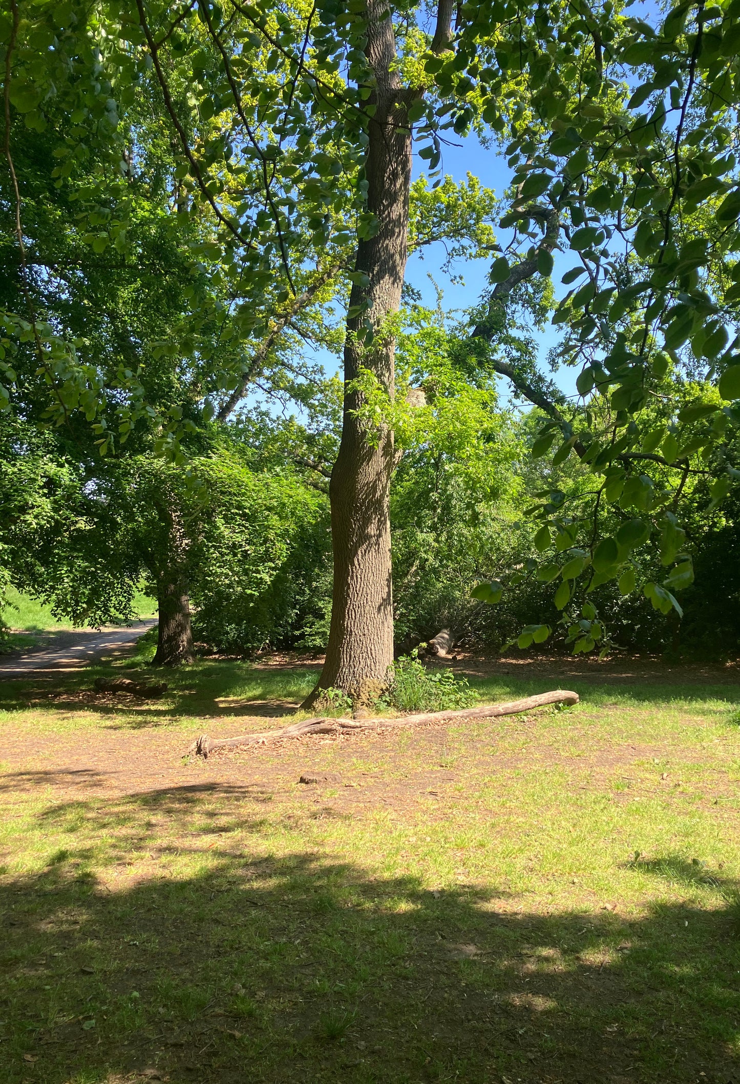 KIOSK of ART Summer Exhibition with Jeremy Akerman- 30 June 2025